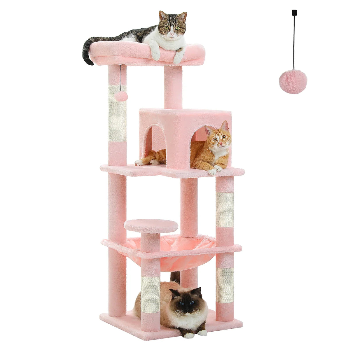 Cat Furniture